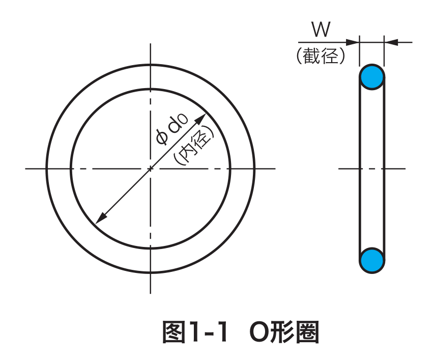 O型圈截面图1